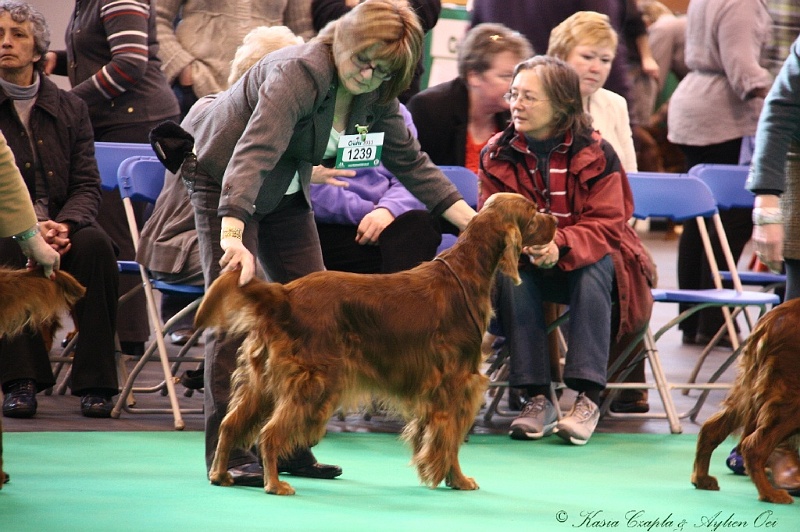 Crufts2011 004.jpg